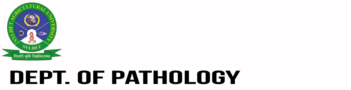 banner-image