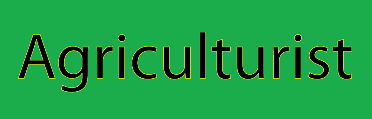 banner-image