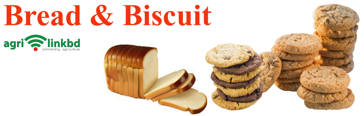 banner-image
