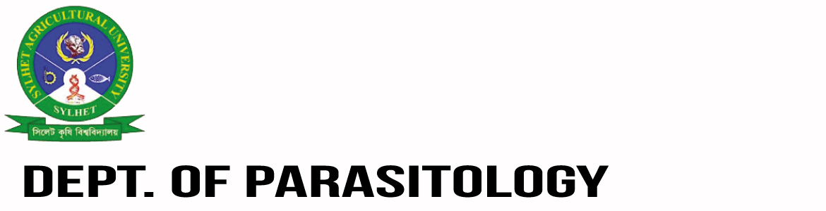 banner-image