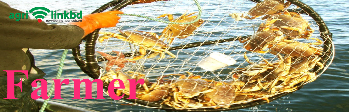 banner-image
