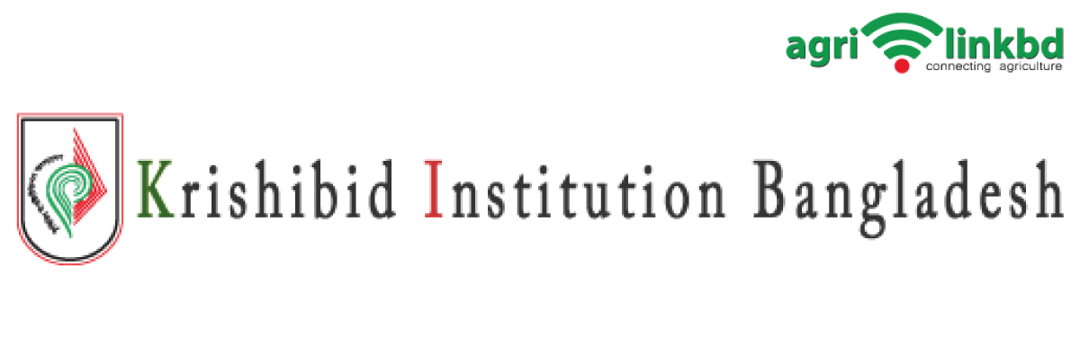 banner-image