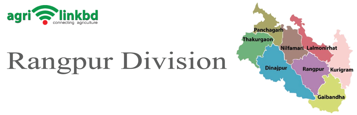 banner-image