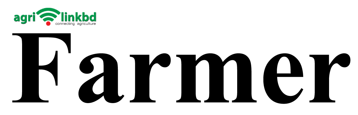 banner-image