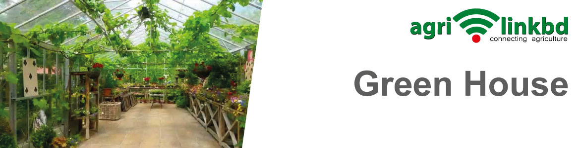 banner-image