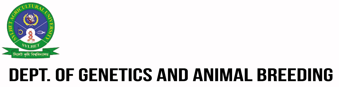 banner-image