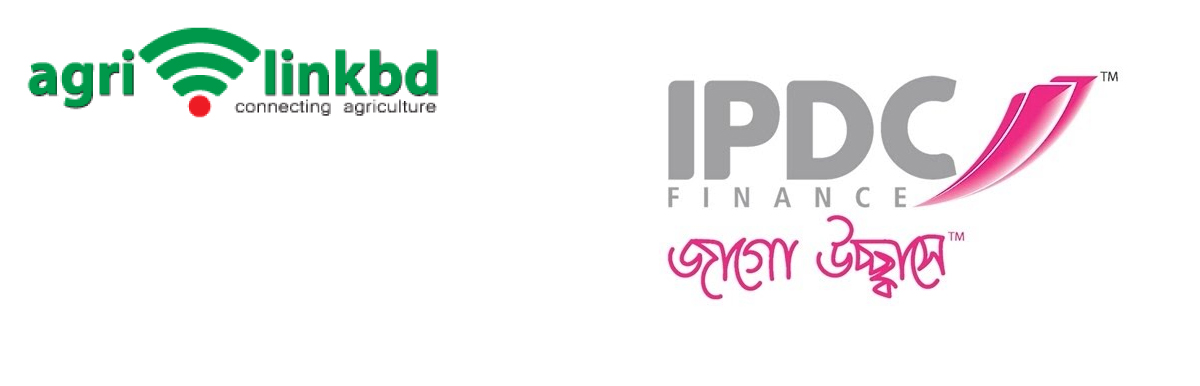 banner-image