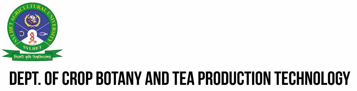 banner-image