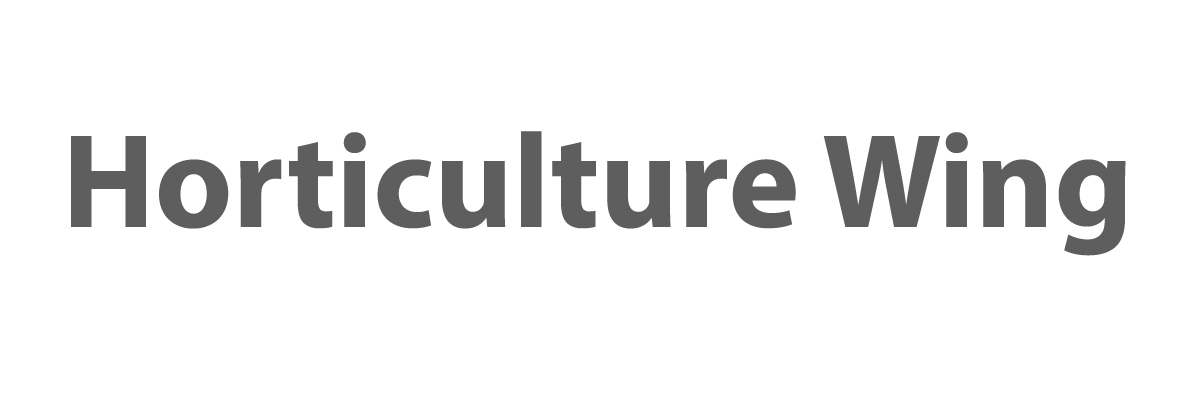 banner-image