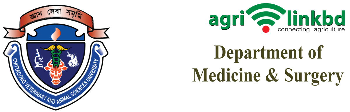 banner-image