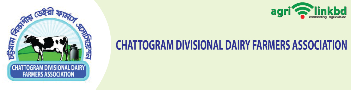 banner-image