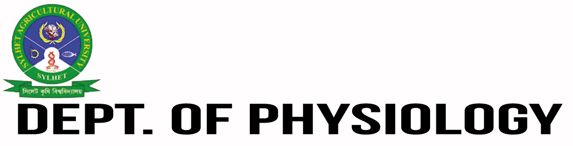 banner-image