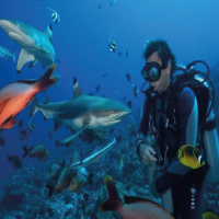Marine fish expert
