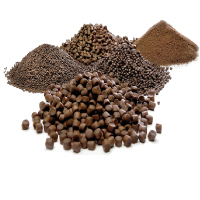 Feed & Nutrition