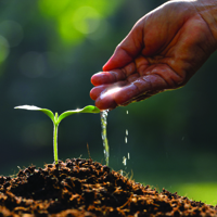 Crops Care