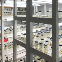 Biotechnology