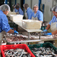 Fisheries