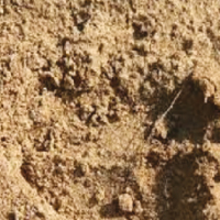 Soil Science