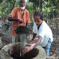 Biogas