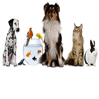 Pet & Bird