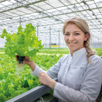 Plant Breeder