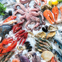 Frozen Fish