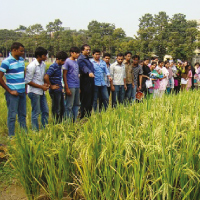 Genetics & Plant Breeding
