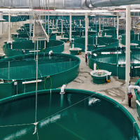 Fish Hatchery