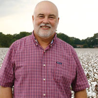 Cotton