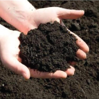 Fertilizer