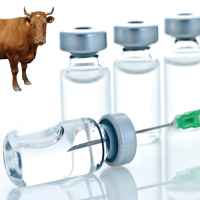 Water & Vaccine
