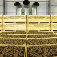 Cold Storage