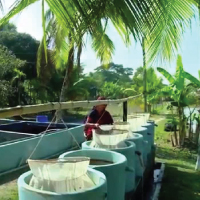 Fisheries