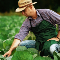Crops Care