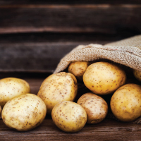 Potato