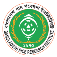 BRRI