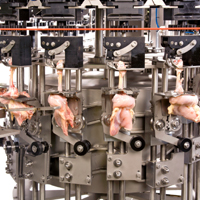 Poultry