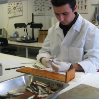 Fisheries