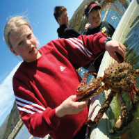 Crab Specialist