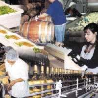 Processing Company