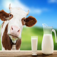 Milk
