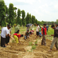 Agronomy
