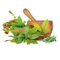 Herbs & Medicinal