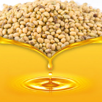 Soybean