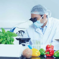 Food Technologist