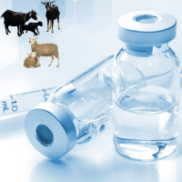 Water & Vaccine