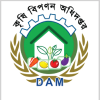 DAM