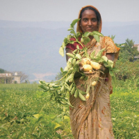 Farmer