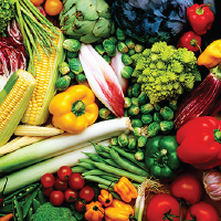 Vegetable