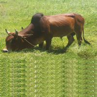 Animal Science